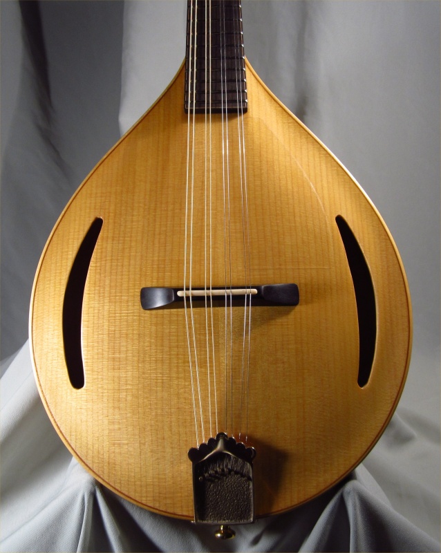 laughlin mandolin